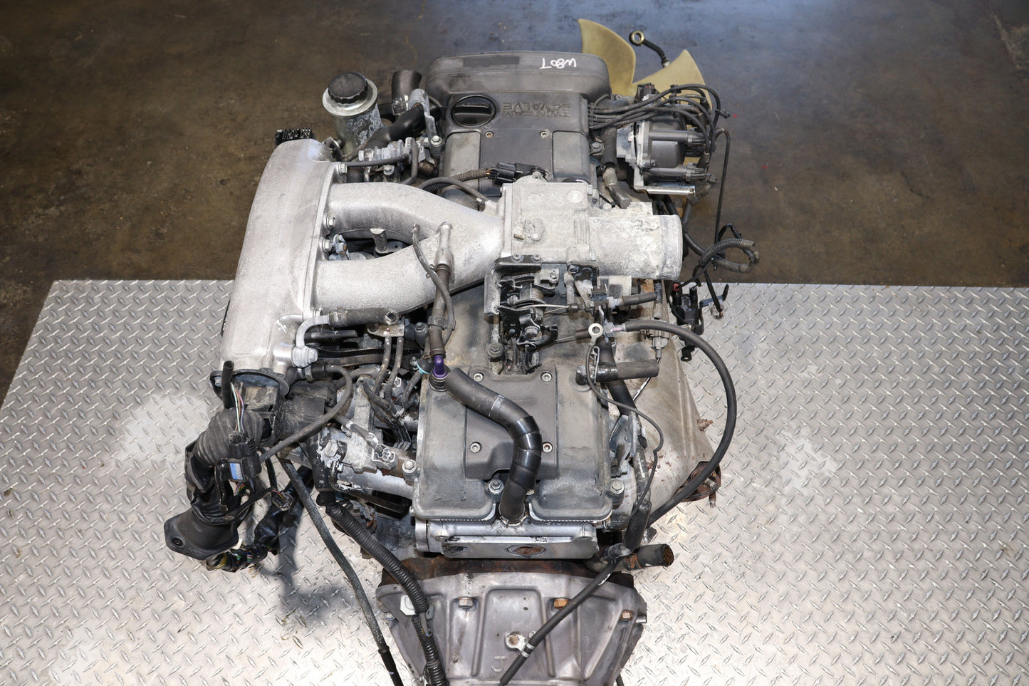 JDM 2JZ-GE 2JZ NON VVT-I 3.0L 1992 1993 1994 1995 1996 SC300 GS300 REAR SUMP WIRING ECU