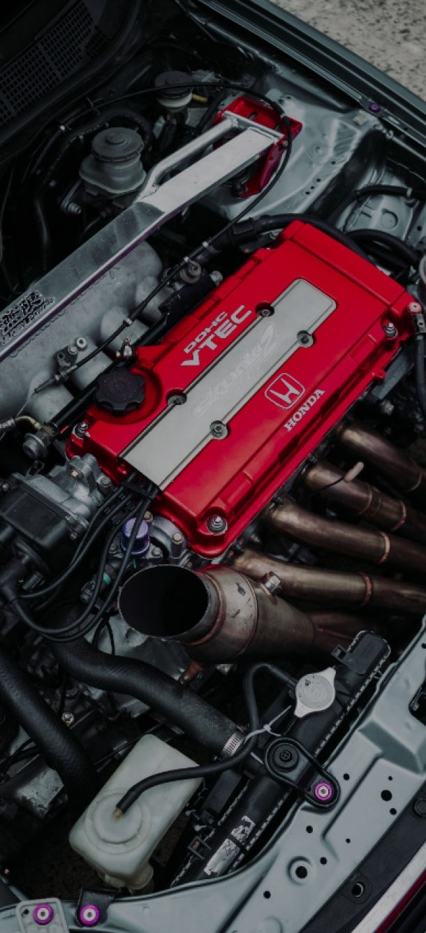 七狸 259?cb=20170802053529